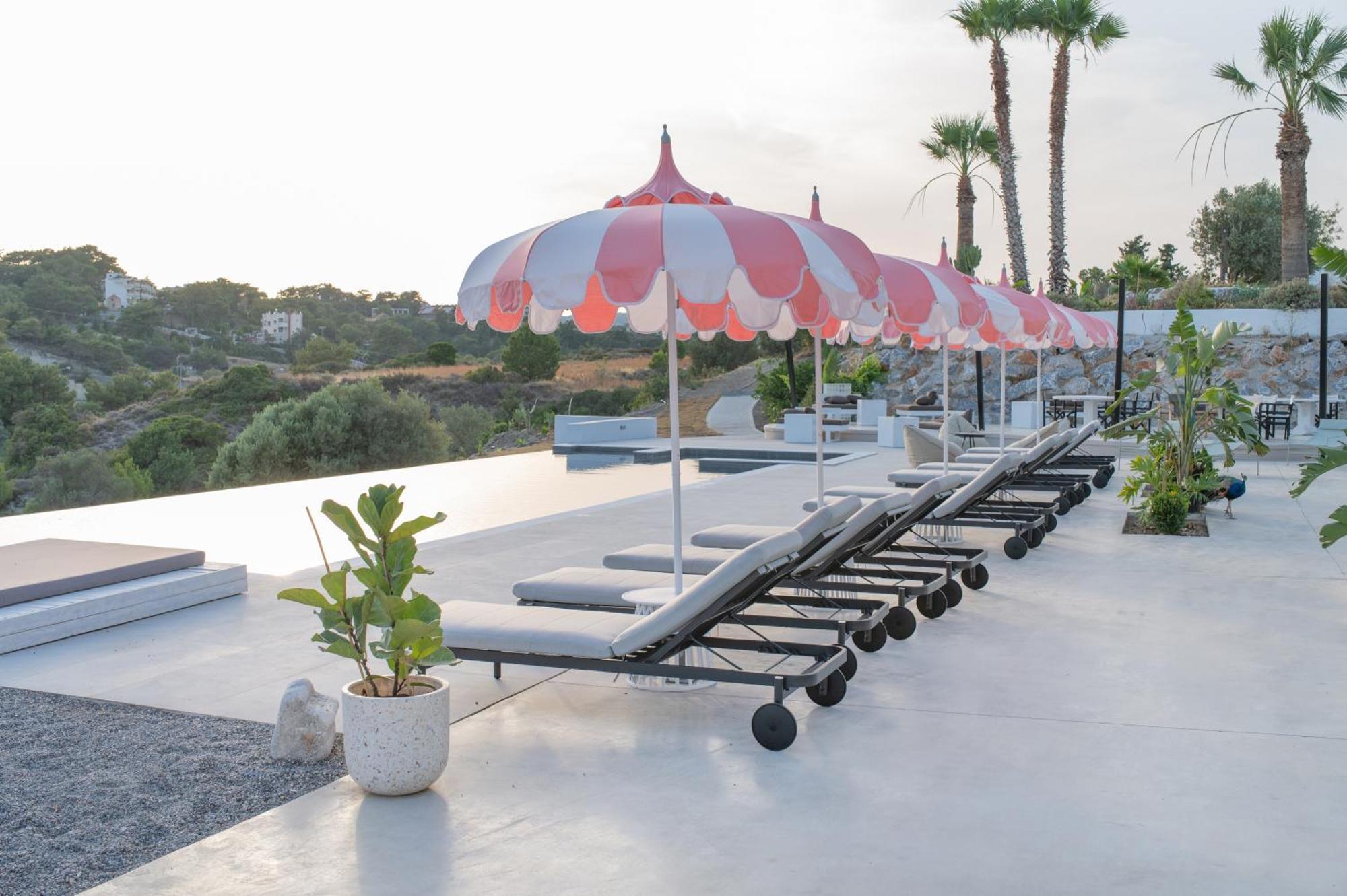 The Palms Concept Adults Only 16